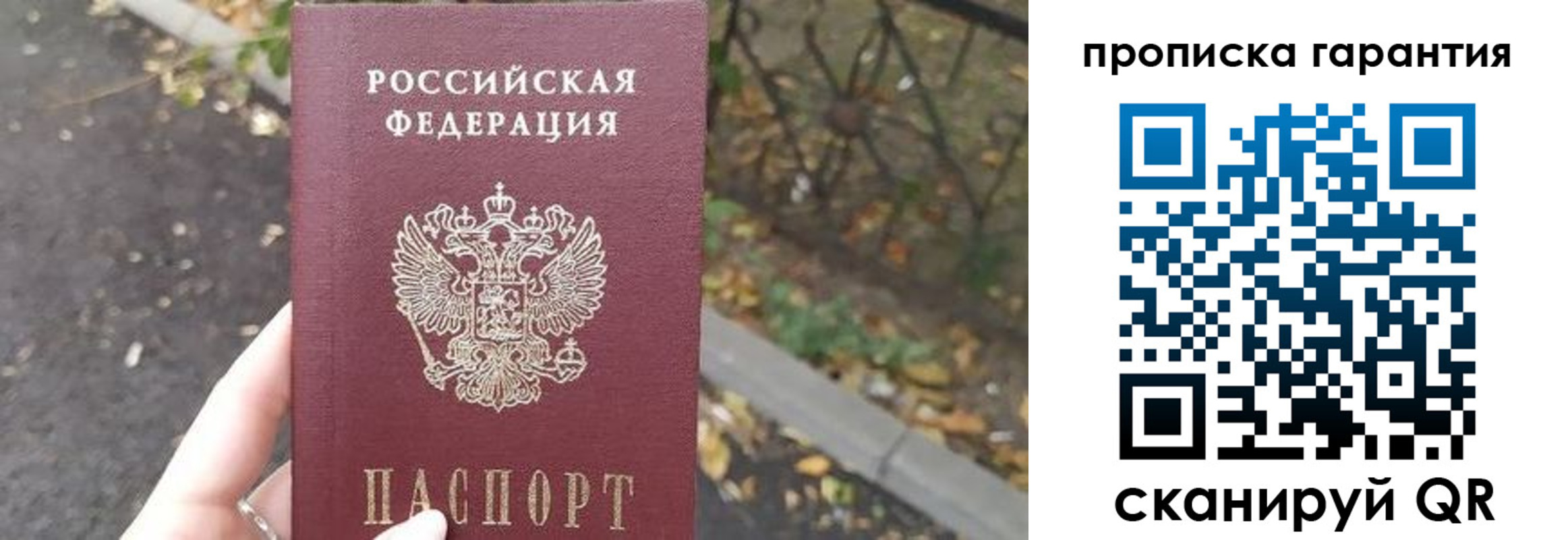 где прописаться в Зеленоградске